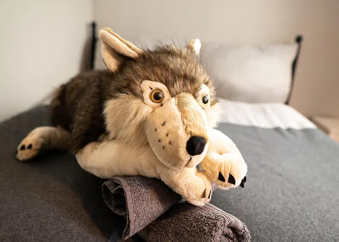 Fullhouse - Halle - T28 - Wolf Halle (Saale)